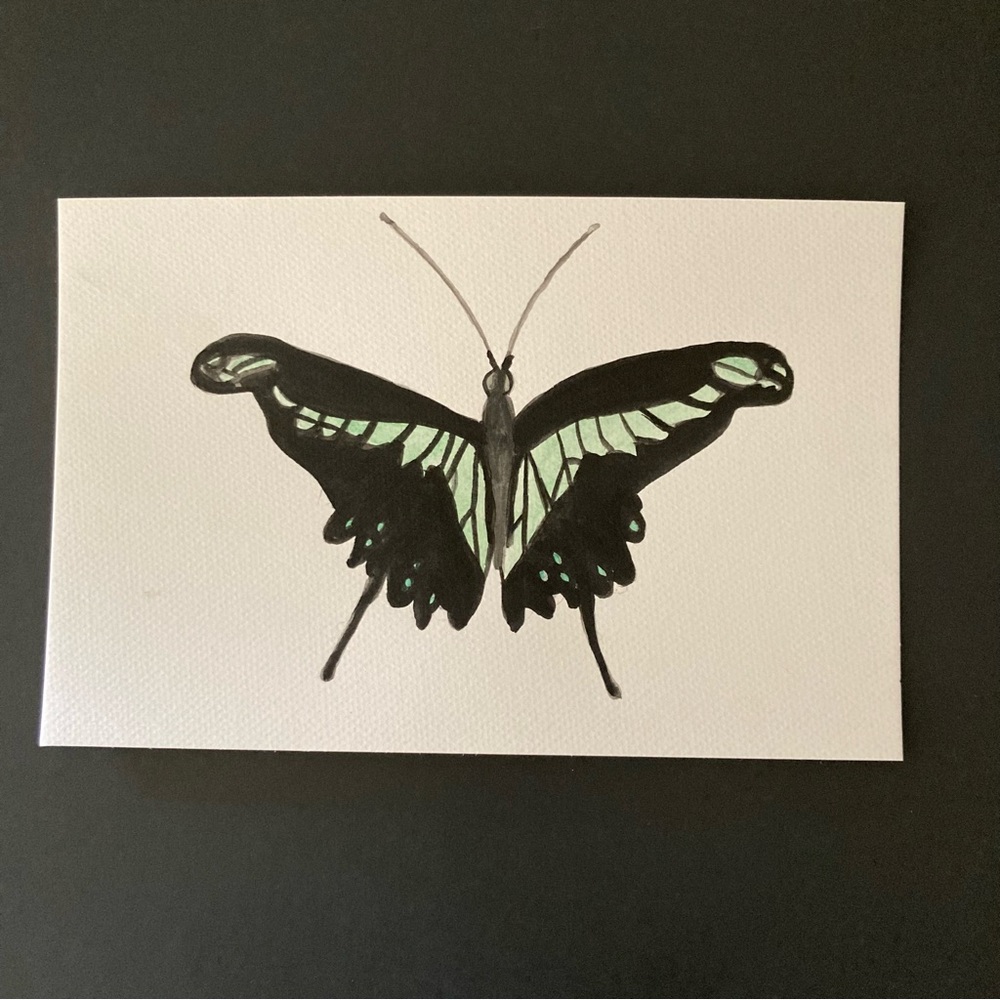 Butterfly Watercolor Painting